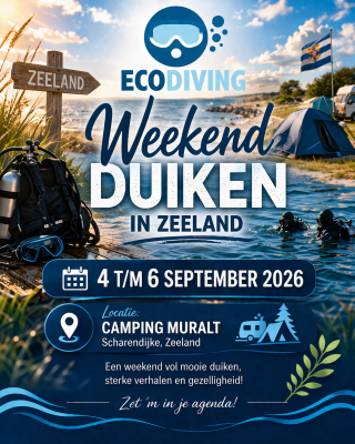 b49e0b28-b82b-49fb-8a1b-e95599a927cf