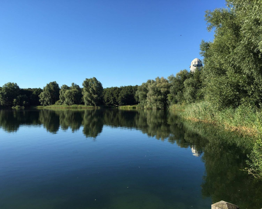 nionplas